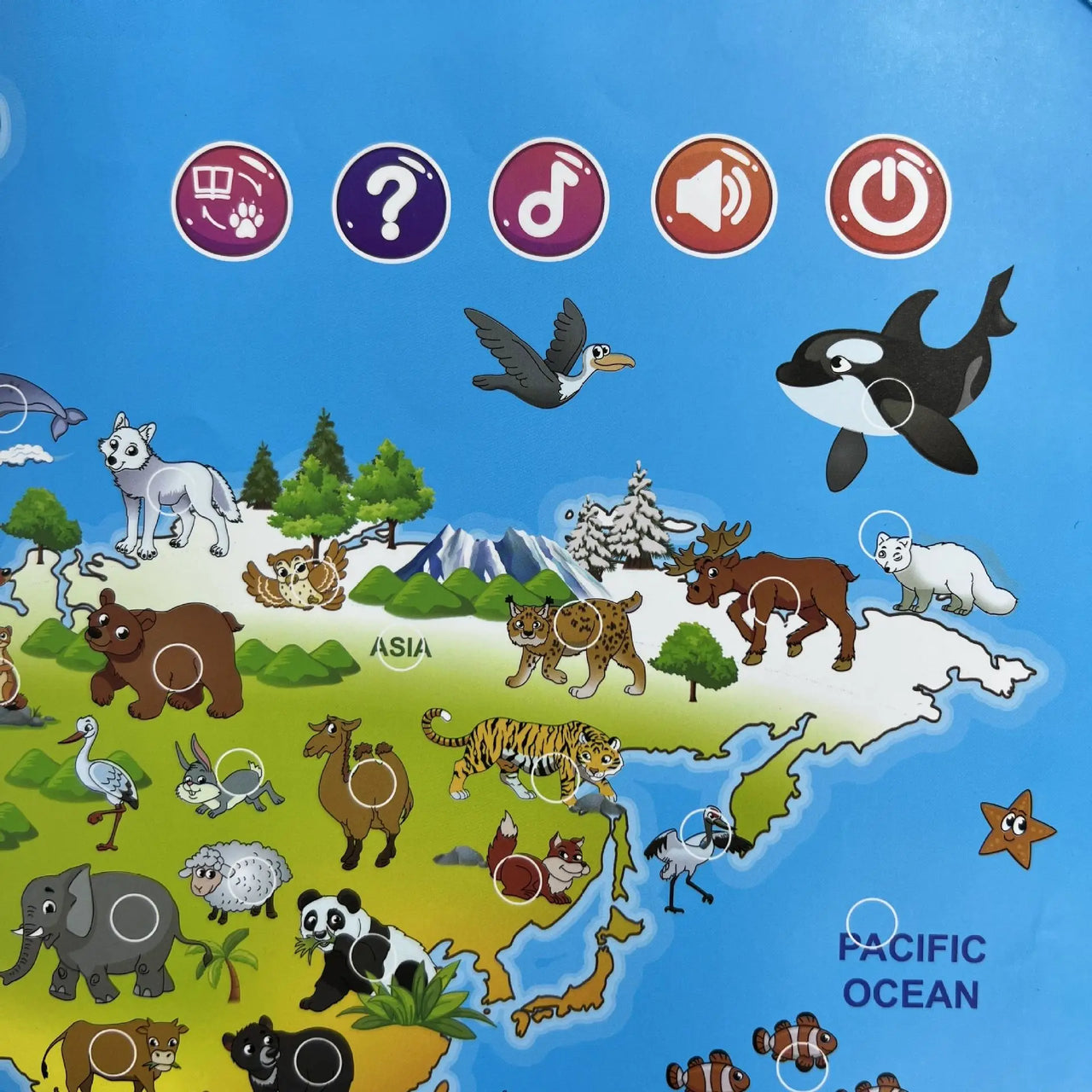 LittleExplorers – Nauka i zabawa – mapa świata zwierząt