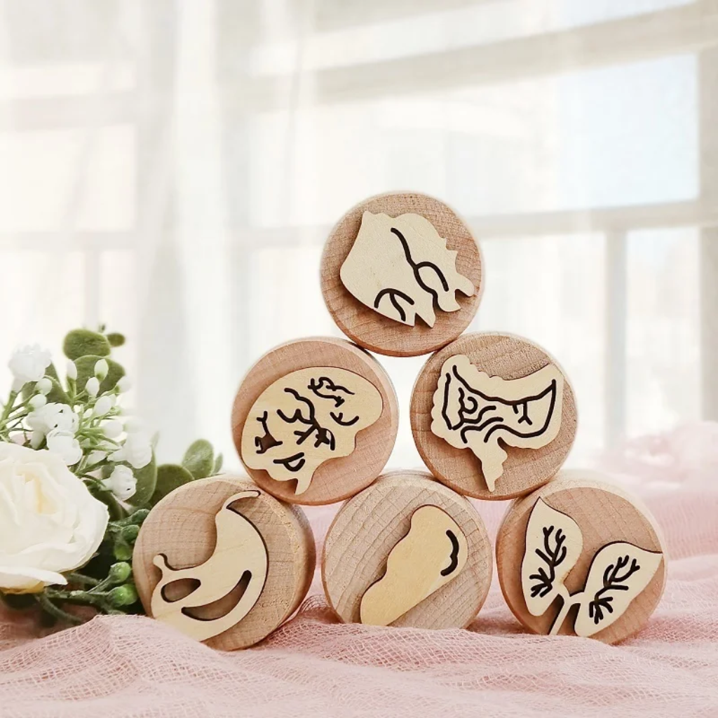 WoodStamp – Montessori & Kreatywność – 6 sztuk drewnianych stempli do plasteliny