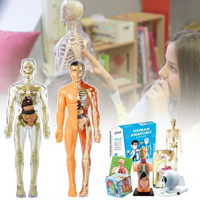 Thumbnail for Human Anatomy – Nauka i odkrywanie – zestaw do budowy modelu ludzkiego ciała