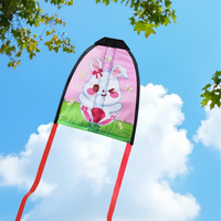 Thumbnail for Handheld Kite – Na świeżym powietrzu i aktywnie – latawiec dla dzieci