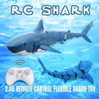Thumbnail for SeaBuddy – Kreatywność i ruch – RC Haai