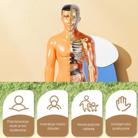 Thumbnail for Human Anatomy – Nauka i odkrywanie – zestaw do budowy modelu ludzkiego ciała