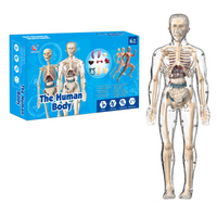 Thumbnail for Human Anatomy – Nauka i odkrywanie – zestaw do budowy modelu ludzkiego ciała