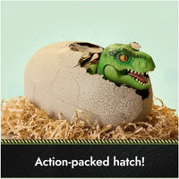 Thumbnail for Grow-A-Rex – Zabawny i sprytny – Jurassic Dino