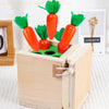 Smart Carrots –  Kolory i kształty - drewniane zabawki do sortowania