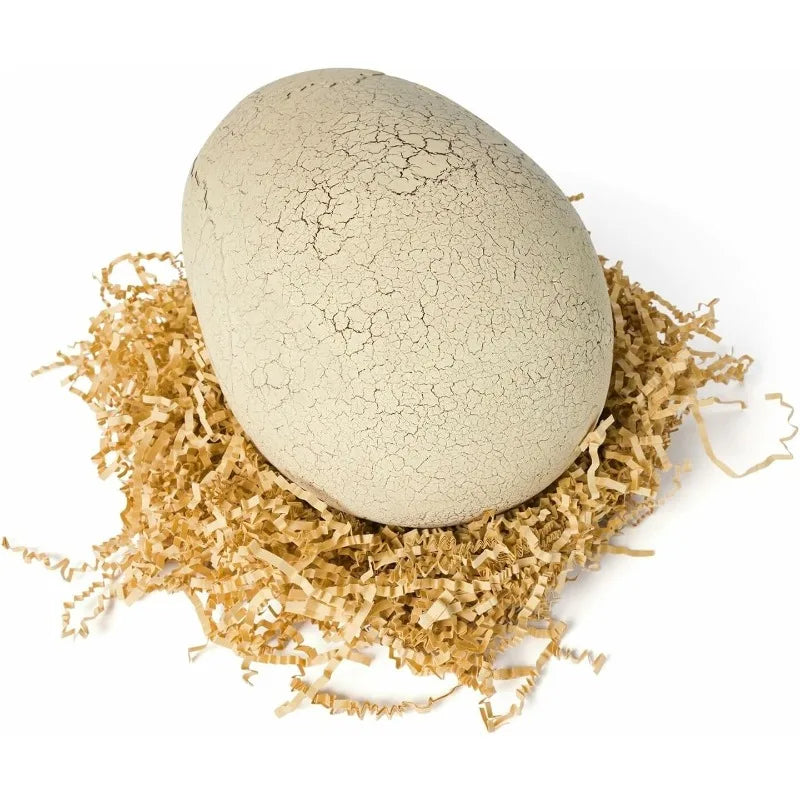 Grow-A-Rex – Zabawny i sprytny – Jurassic Dino