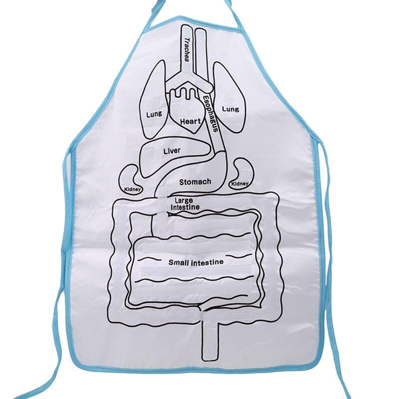 Anatomy Apron™ - Fartuch anatomiczny - Interaktywne poznawanie ciała